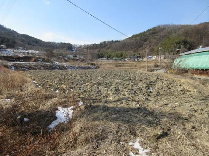 경상북도 상주시 내서면 서만리 403 답 경매 사진 31