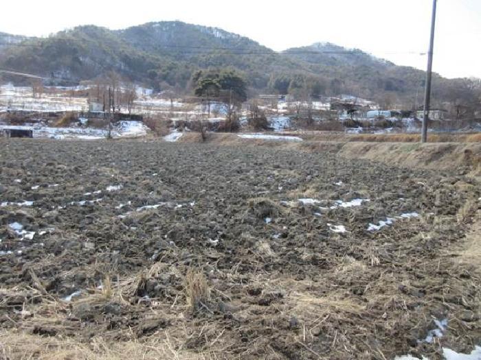 경상북도 상주시 내서면 서만리 403 답 경매 사진 32