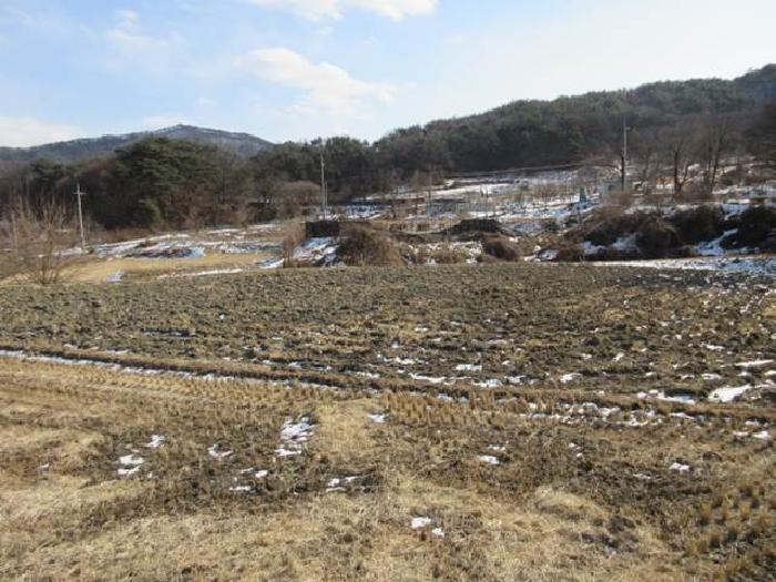 경상북도 상주시 내서면 서만리 403 답 경매 사진 34