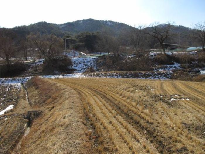 경상북도 상주시 내서면 서만리 403 답 경매 사진 35