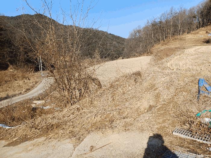 경상북도 상주시 내서면 서만리 403 답 경매 사진 5