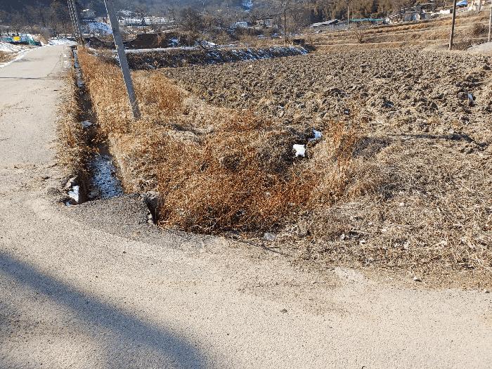 경상북도 상주시 내서면 서만리 403 답 경매 사진 6