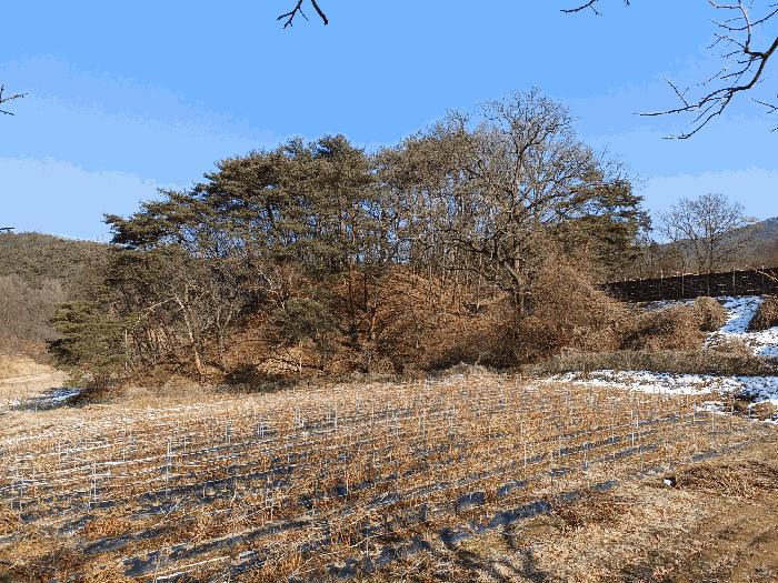 경상북도 상주시 내서면 서만리 403 답 경매 사진 7