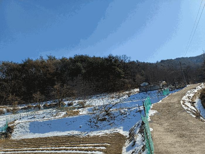 경상북도 상주시 내서면 서만리 403 답 경매 사진 9