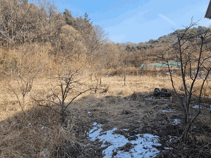 경상북도 상주시 공검면 오태리 434 답 경매 사진 1