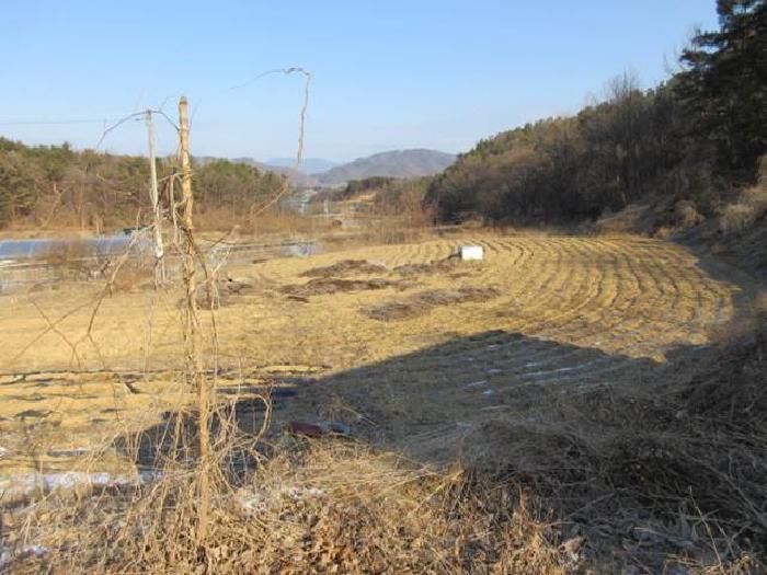 경상북도 상주시 공검면 오태리 434 답 경매 사진 14