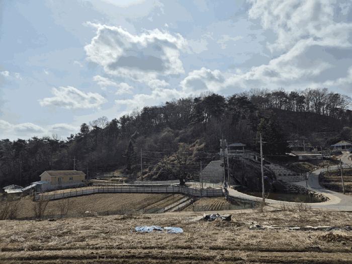 경상북도 문경시 호계면 봉서리 153 답 경매 사진 1