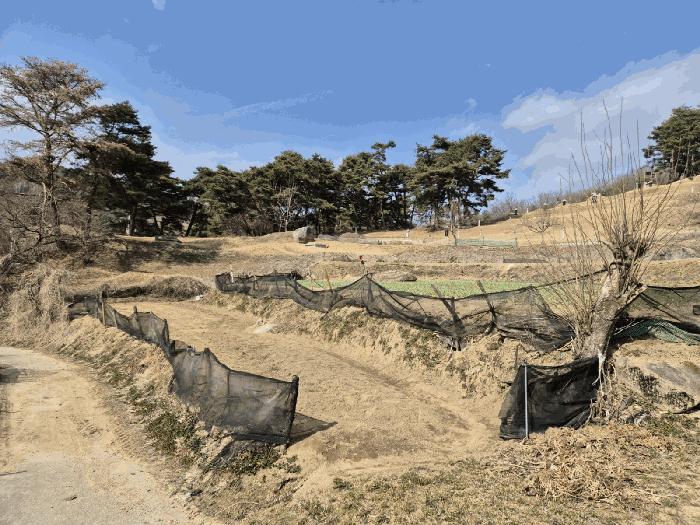 경상북도 문경시 호계면 봉서리 153 답 경매 사진 6