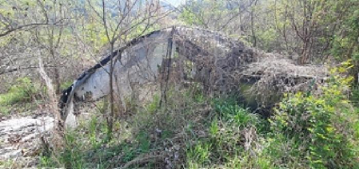 경상남도 김해시 한림면 금곡리 944 전 경매 사진 5