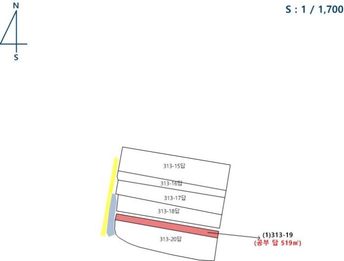 전라남도 담양군 수북면 두정리 313-19 답 경매 사진 6