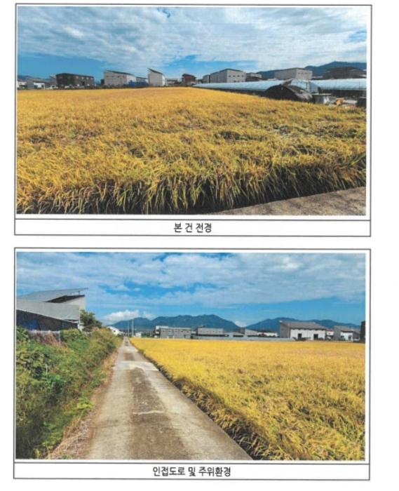 광주 북구 답
