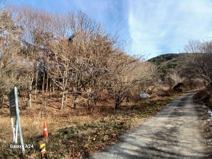 전라남도 담양군 대덕면 운암리 산138 임야 경매 사진 3