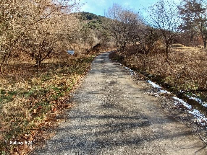 전라남도 담양군 대덕면 운암리 산138 임야 경매 사진 4