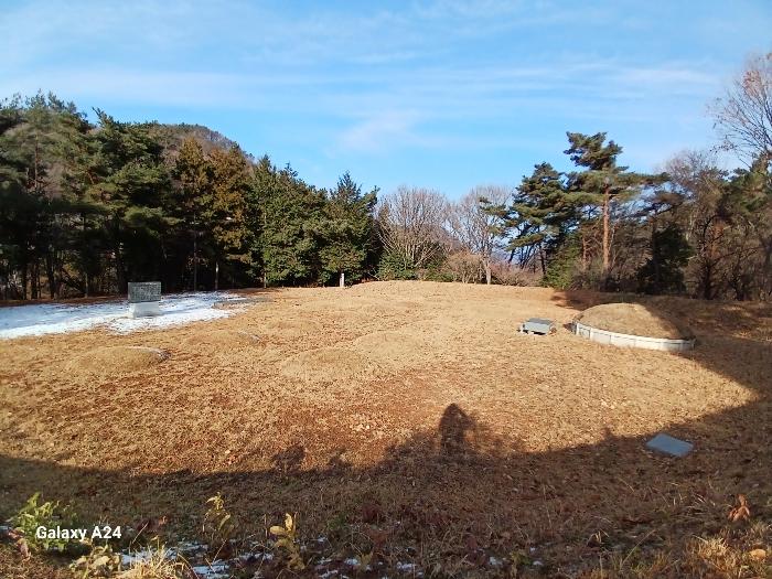 전라남도 담양군 대덕면 운암리 산138 임야 경매 사진 6