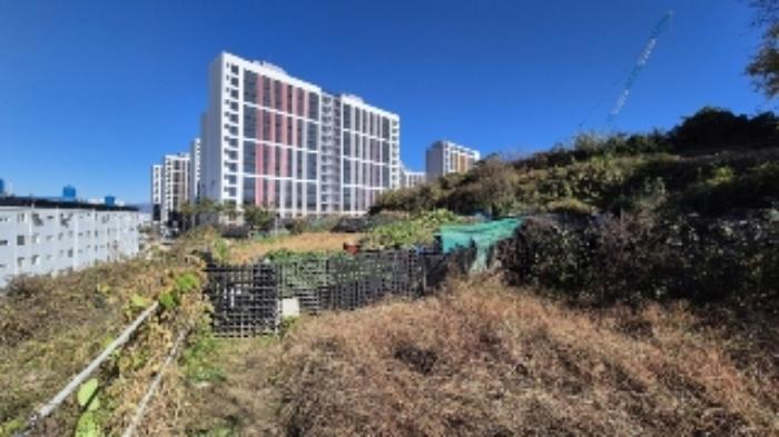 광주광역시 남구 월산동 584-1 대지 경매 사진 11