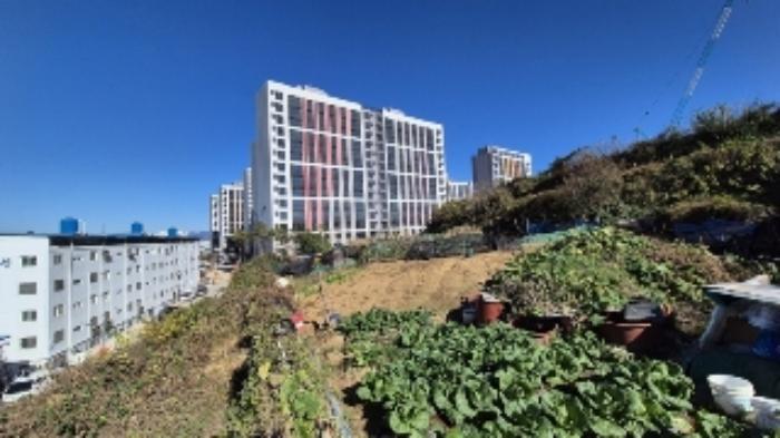 광주광역시 남구 월산동 584-1 대지 경매 사진 12