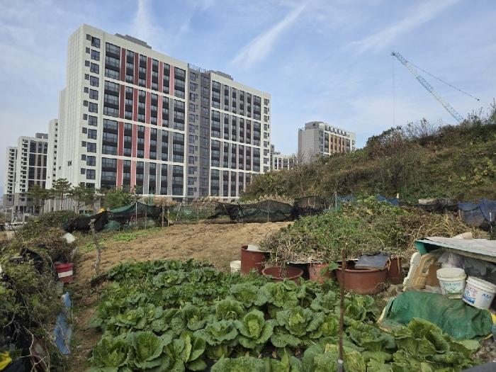 광주광역시 남구 월산동 584-1 대지 경매 사진 2
