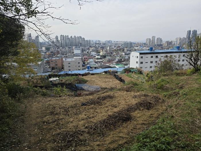 광주광역시 남구 월산동 584-1 대지 경매 사진 5