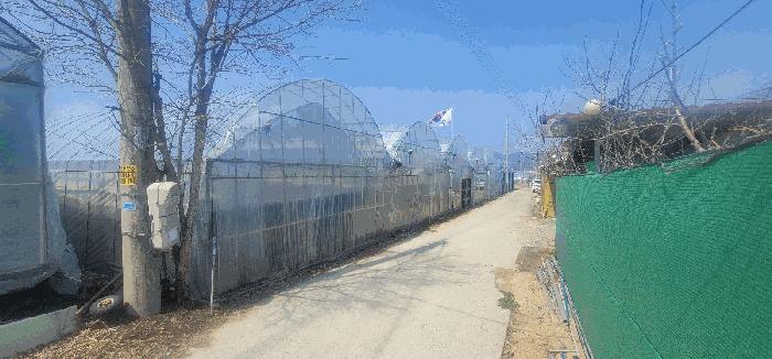 경상북도 김천시 대항면 대룡리 441 답 경매 사진 2
