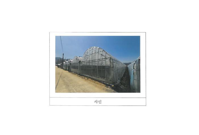 경상북도 김천시 대항면 대룡리 441 답 경매 사진 5