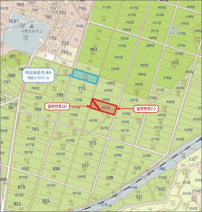경상북도 김천시 대항면 대룡리 441 답 경매 사진 6