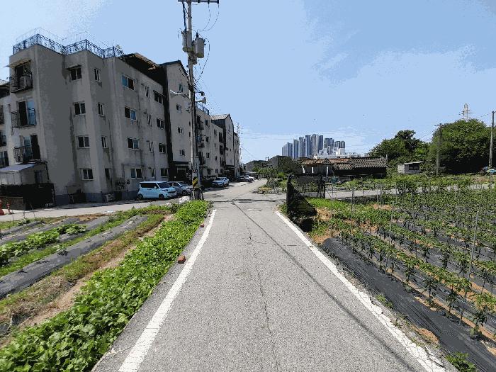 경기 파주시 다세대(빌라)