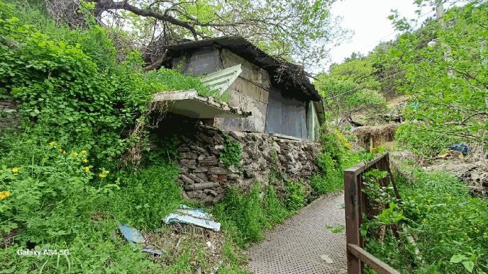 대구광역시 북구 복현동 산13 임야 경매 사진 3