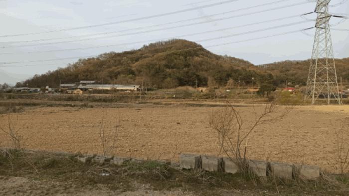충청남도 아산시 영인면 신봉리 61 답 경매 사진 12