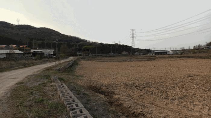충청남도 아산시 영인면 신봉리 61 답 경매 사진 18