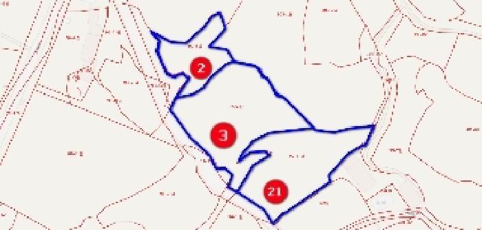 충청남도 아산시 영인면 신봉리 61 답 경매 사진 30