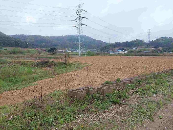 충청남도 아산시 영인면 신봉리 61 답 경매 사진 46