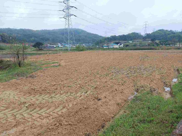 충청남도 아산시 영인면 신봉리 61 답 경매 사진 47