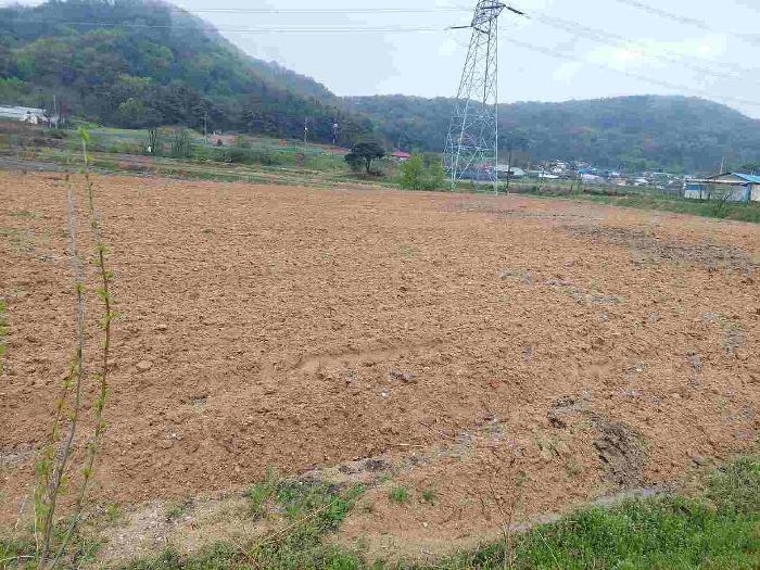 충청남도 아산시 영인면 신봉리 61 답 경매 사진 49