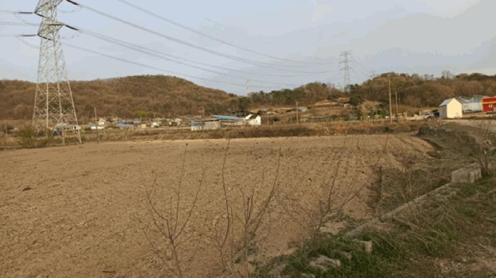 충청남도 아산시 영인면 신봉리 61 답 경매 사진 5