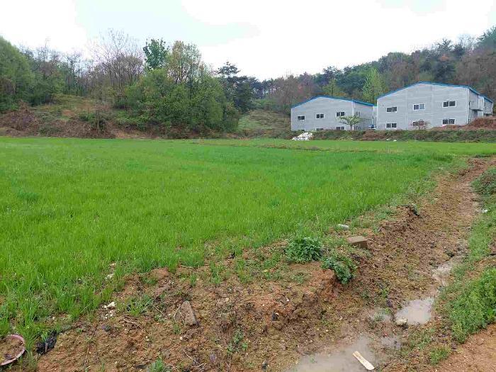 충청남도 아산시 영인면 신봉리 61 답 경매 사진 62