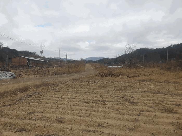 경상북도 김천시 봉산면 광천리 450 도로 경매 사진 13