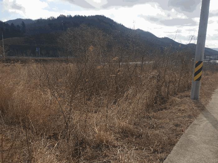 경상북도 김천시 봉산면 광천리 450 도로 경매 사진 16