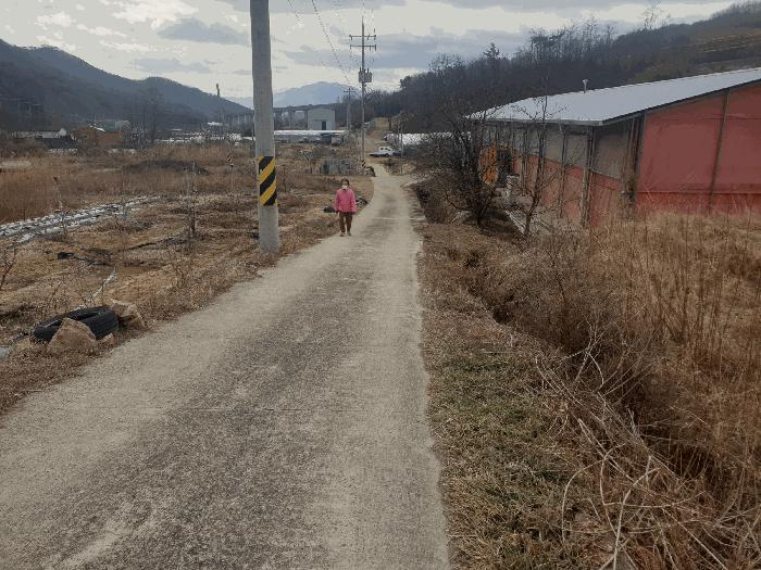 경상북도 김천시 봉산면 광천리 450 도로 경매 사진 3
