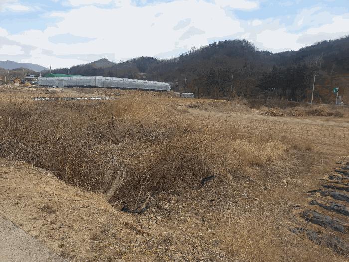 경상북도 김천시 봉산면 광천리 450 도로 경매 사진 4