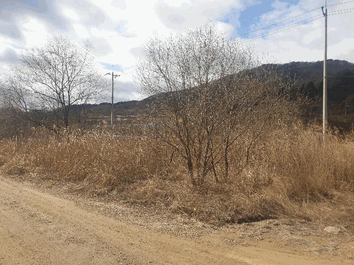 경상북도 김천시 봉산면 광천리 450 도로 경매 사진 5