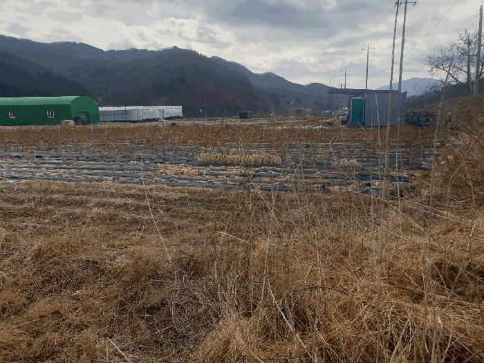 경상북도 김천시 봉산면 광천리 450 도로 경매 사진 6