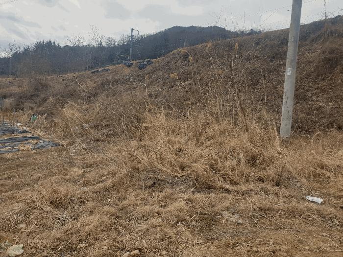 경상북도 김천시 봉산면 광천리 450 도로 경매 사진 8