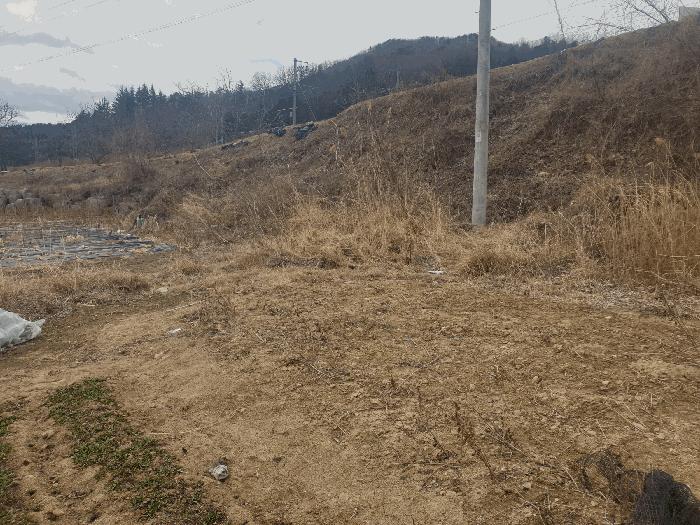 경상북도 김천시 봉산면 광천리 450 도로 경매 사진 9