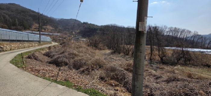 경상북도 김천시 대덕면 연화리 62 답 경매 사진 15