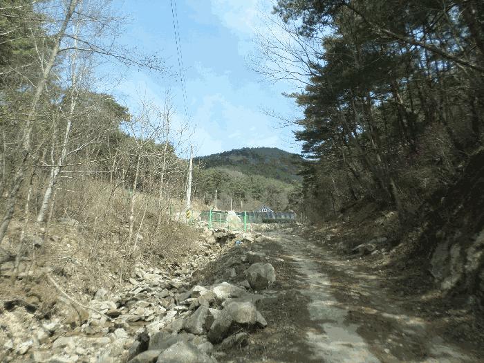 경상북도 김천시 대덕면 연화리 62 답 경매 사진 2