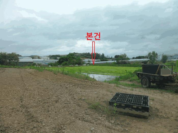 충청남도 천안시 성거읍 문덕리 231-2 답 경매 사진 1