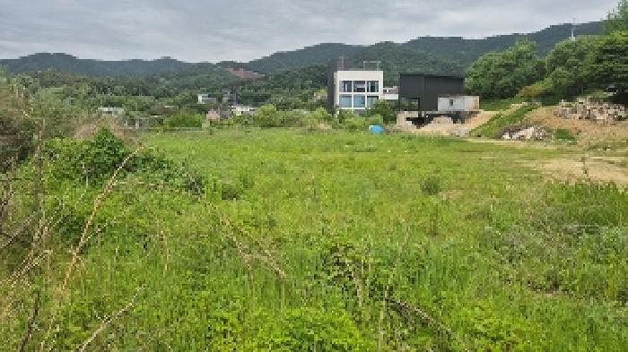 충청남도 천안시 동남구 유량동 148 답 경매 사진 10
