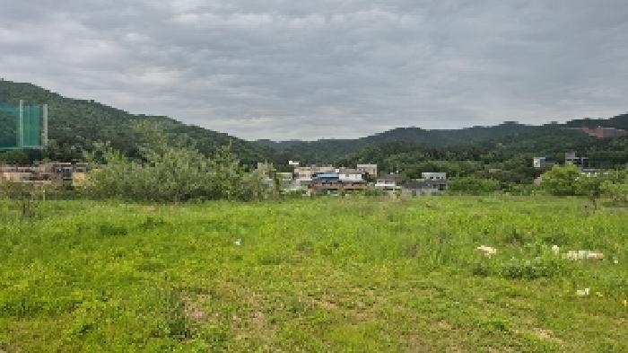 충청남도 천안시 동남구 유량동 148 답 경매 사진 13