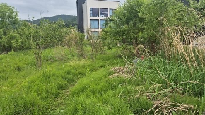 충청남도 천안시 동남구 유량동 148 답 경매 사진 18