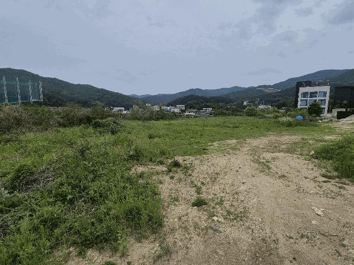 충청남도 천안시 동남구 유량동 148 답 경매 사진 2